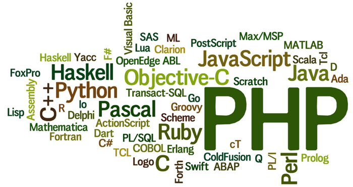 Softwareentwicklung mit Pascal, C++, Java, PHP ...